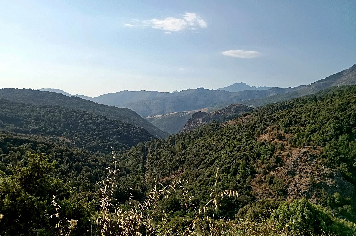 sébatien sidaner, aria, robin renucci