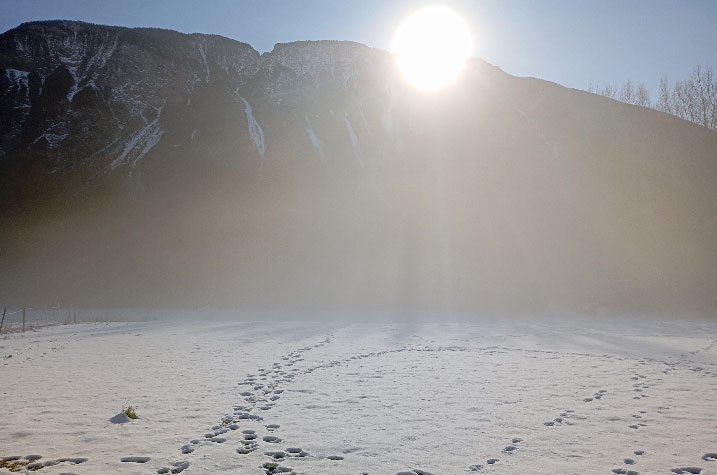 sébatien sidaner, art mini, compagnie digestif