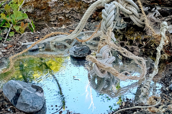 sébatien sidaner, doula terra, cie digestif