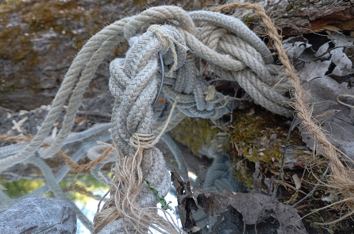 sébatien sidaner, doula terra, cie digestif