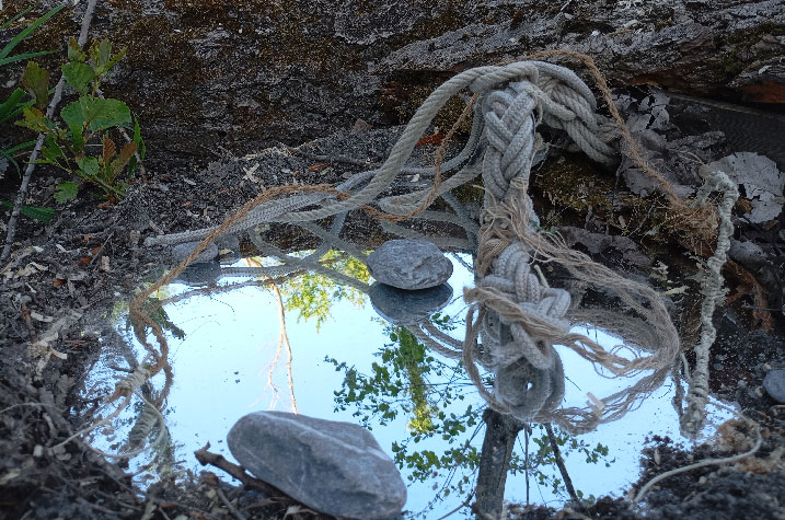 sébatien sidaner, doula terra, cie digestif
