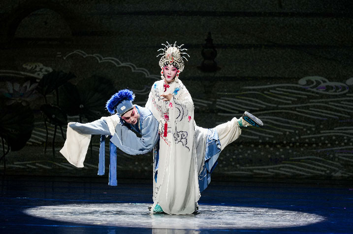 sébatien sidaner, memory of flower, cie wild the donkey