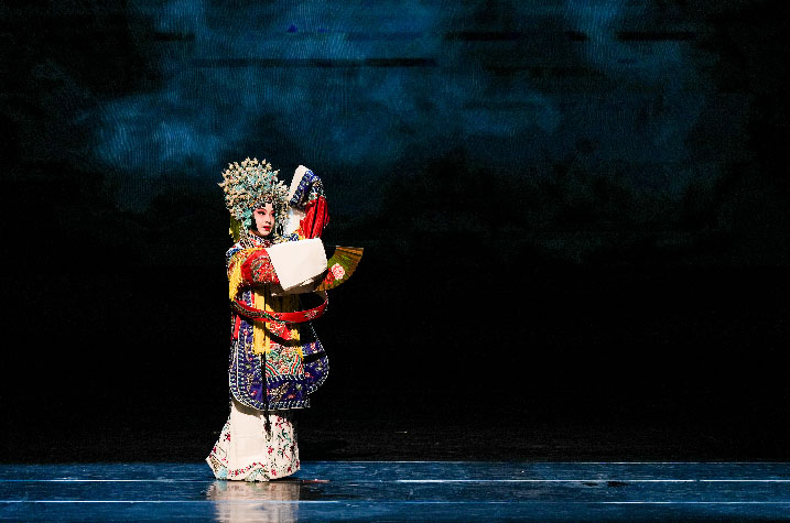 sébatien sidaner, memory of flower, cie wild the donkey