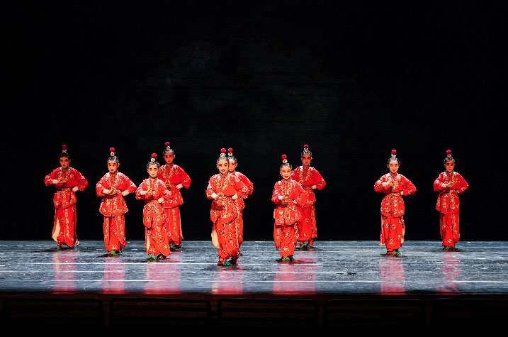 sébatien sidaner, memory of flower, cie wild the donkey