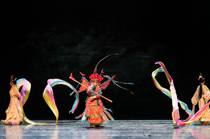 sébatien sidaner, memory of flower, cie wild the donkey