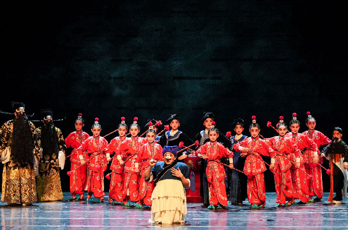 sébatien sidaner, memory of flower, cie wild the donkey