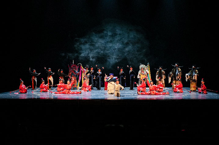 sébatien sidaner, memory of flower, cie wild the donkey