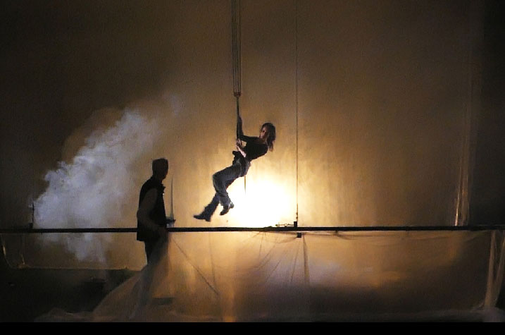 sébatien sidaner, memory of flower, cie wild the donkey