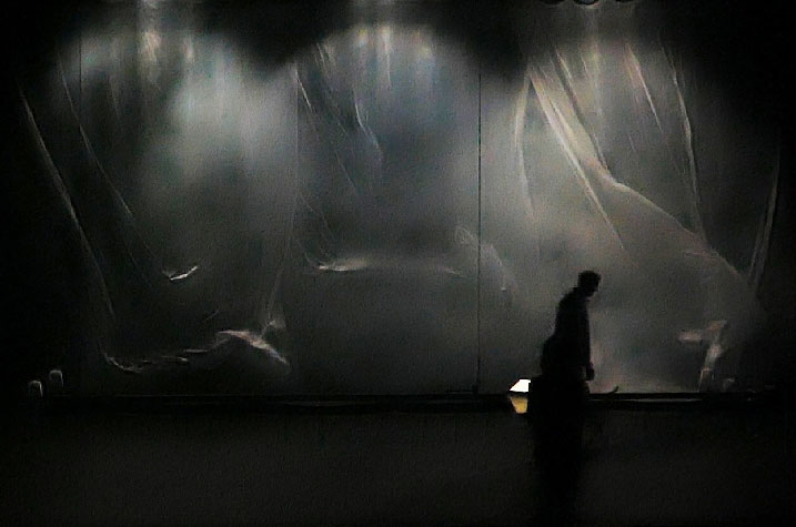 sébatien sidaner, memory of flower, cie wild the donkey