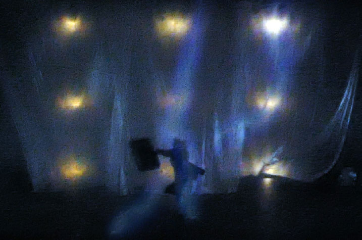 sébatien sidaner, memory of flower, cie wild the donkey