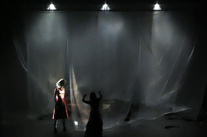 sébatien sidaner, memory of flower, cie wild the donkey