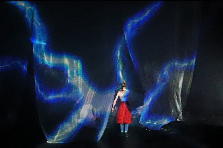 sébatien sidaner, memory of flower, cie wild the donkey