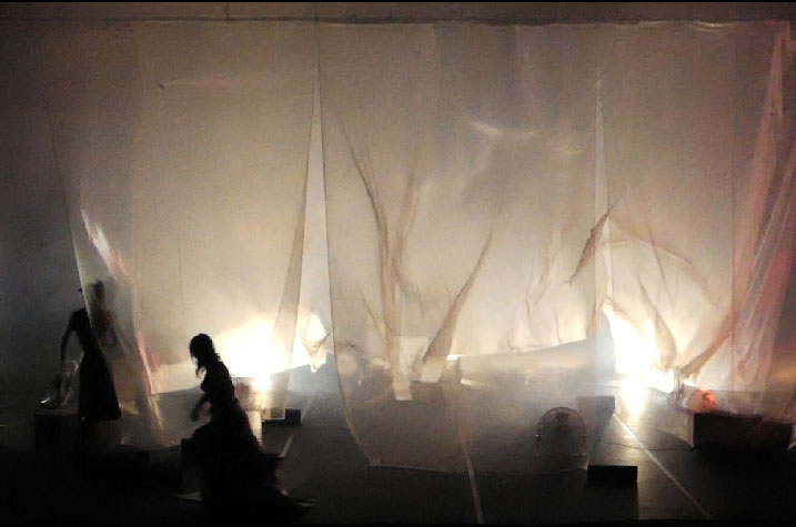 sébatien sidaner, memory of flower, cie wild the donkey