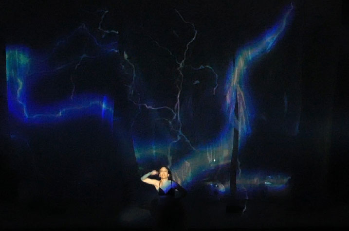 sébatien sidaner, memory of flower, cie wild the donkey