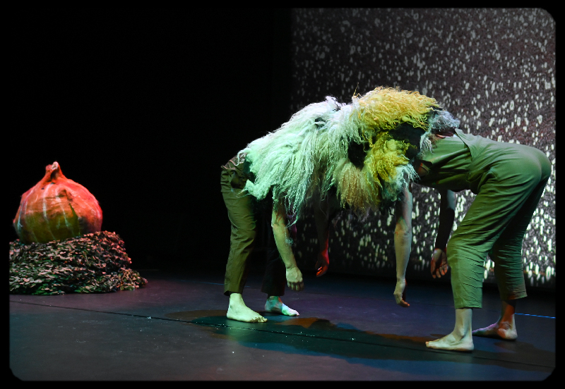 Doula Terra — scénographie numérique immersive pour le spectacle vivant jeune public par Sébastien Sidaner.