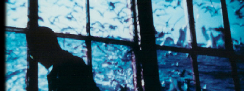 archive photographie sébastien sidaner