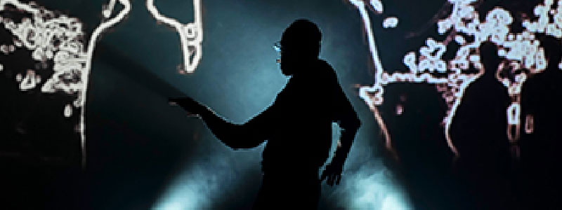 Design vidéo de Sébastien Sidaner.choregraphe fred bendongué. la culture du zèbre